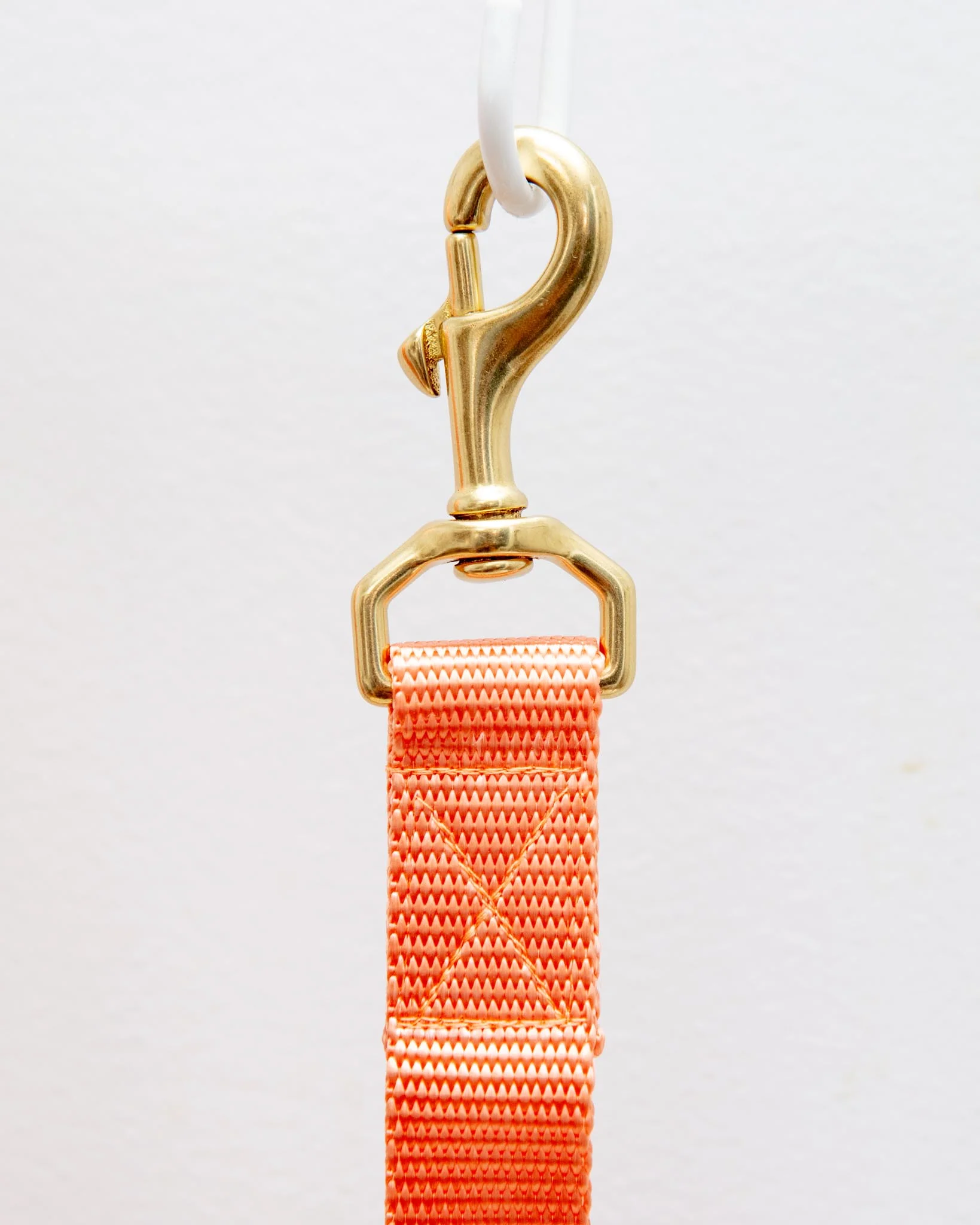 Basic Nylon Dog Leash in Peach (Made in the USA) - Image 3