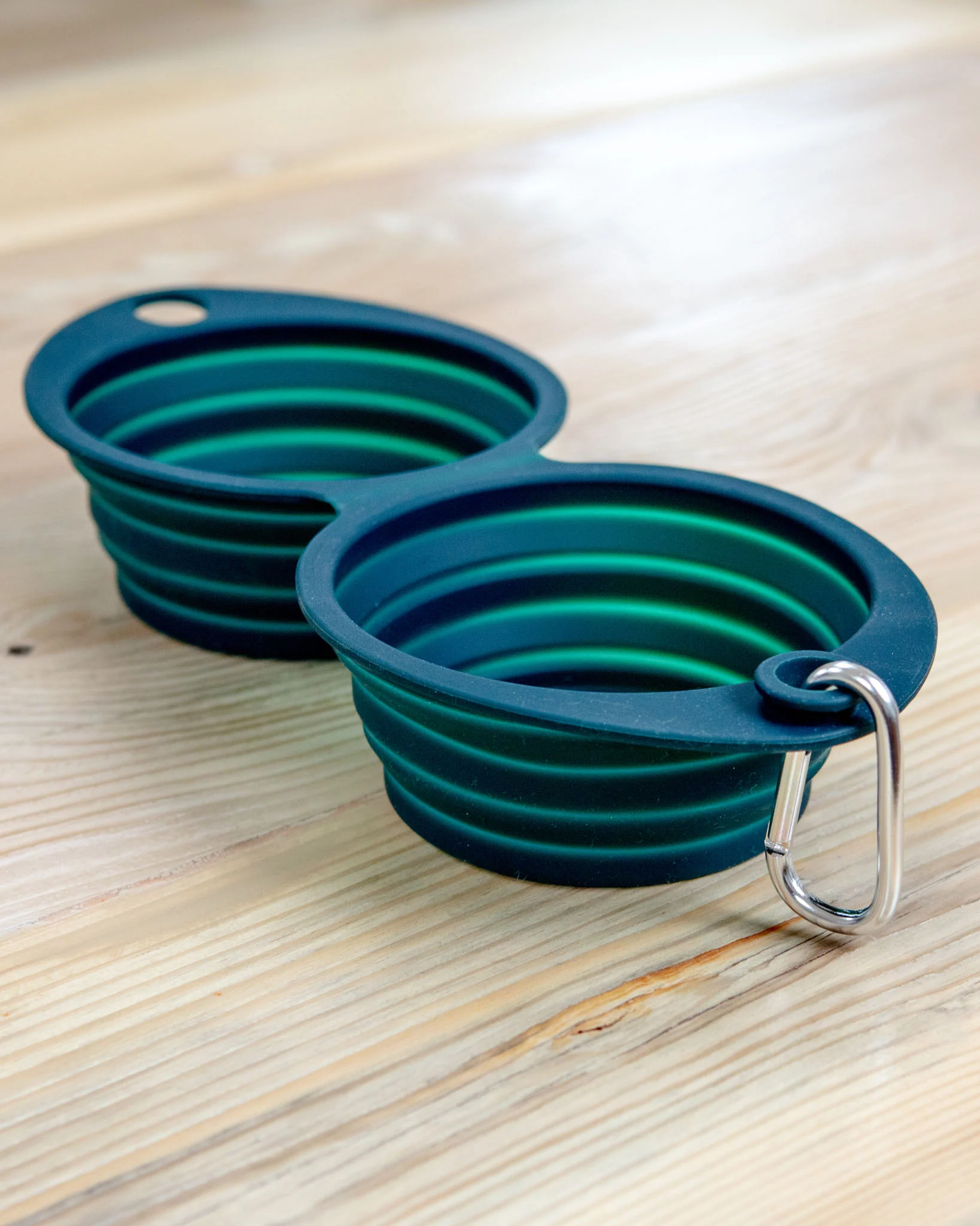 Double Travel Dog Bowl in Forest Green