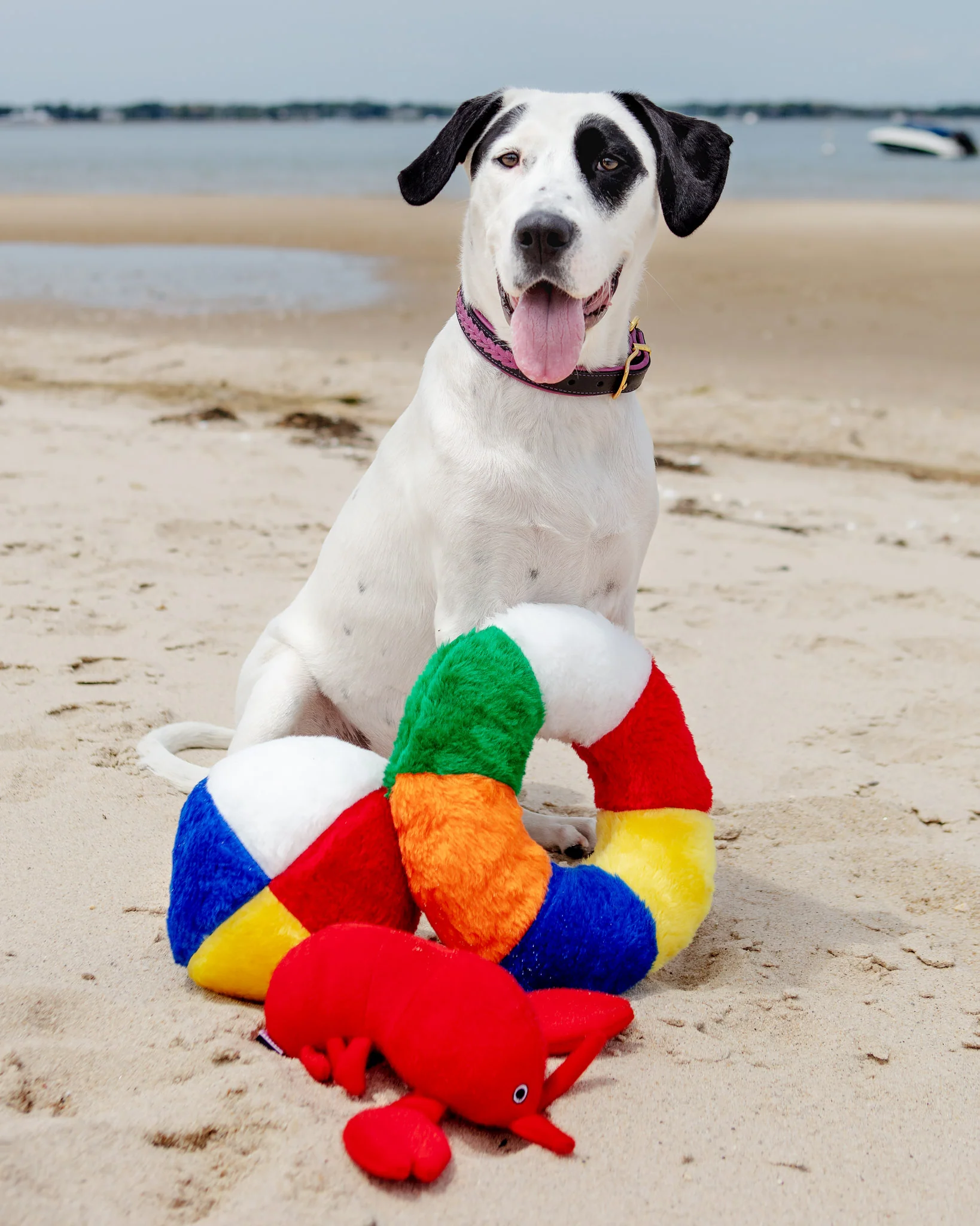 Beach Ball Plush Dog Toy (Made in the USA) (FINAL SALE) - Image 2
