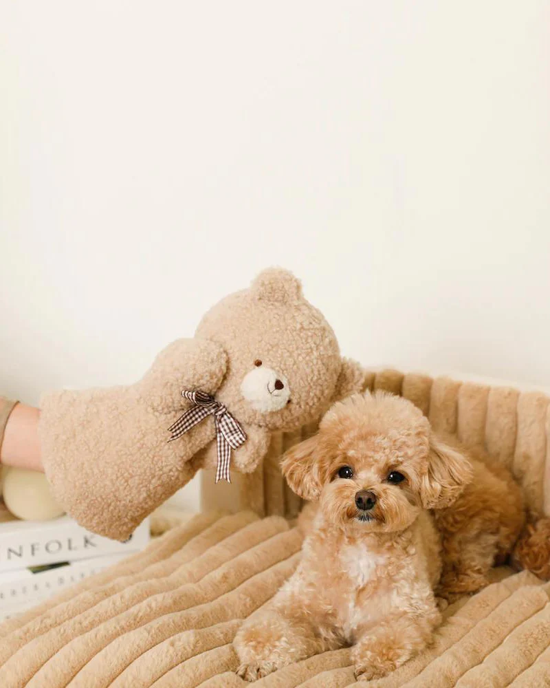 Bear Hand Puppet Dog Toy - Image 6