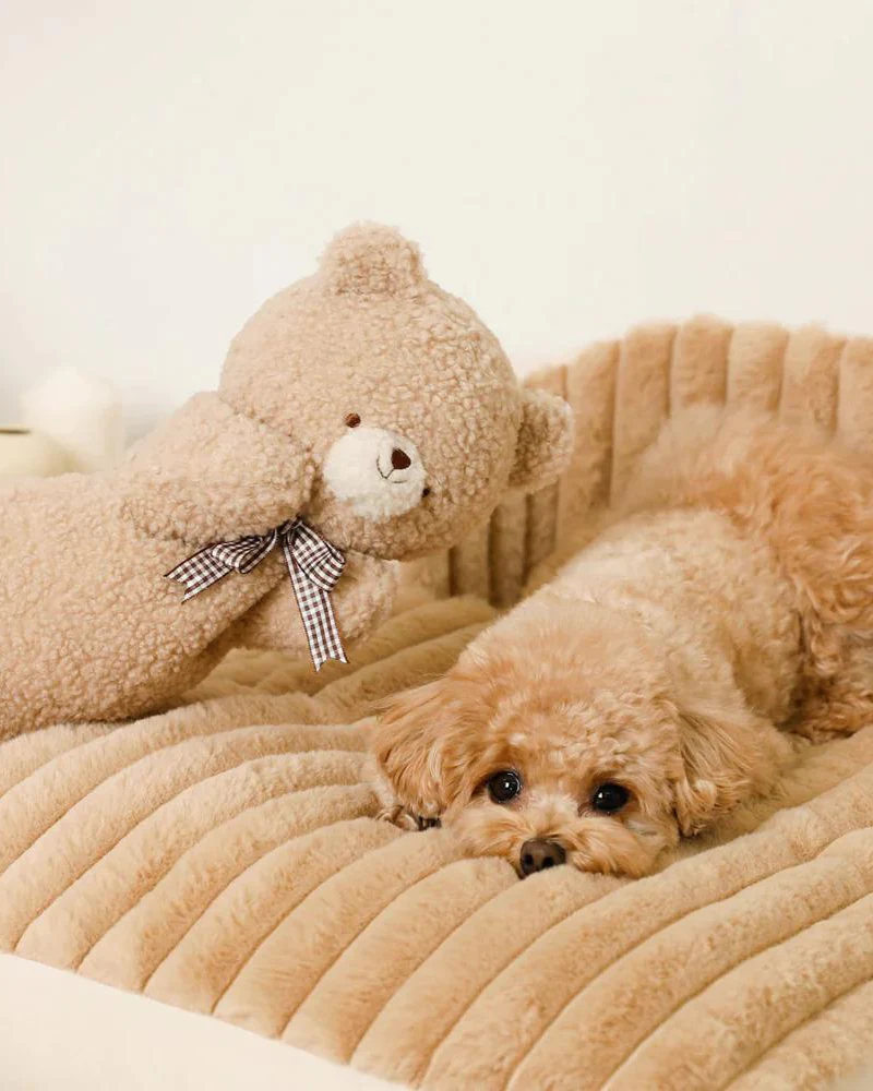 Bear Hand Puppet Dog Toy - Image 7