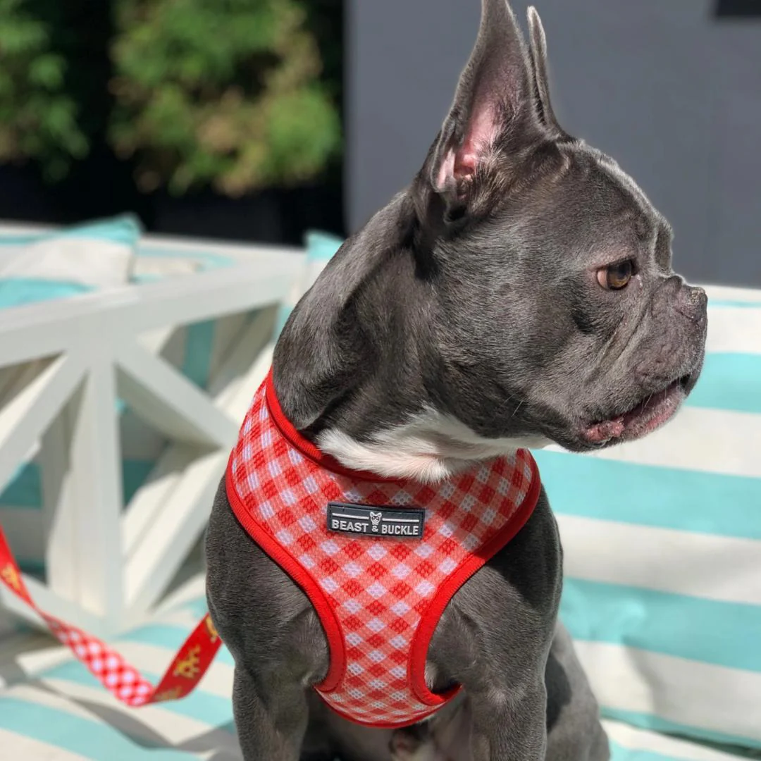 Reversible Pizza Harness - Image 5