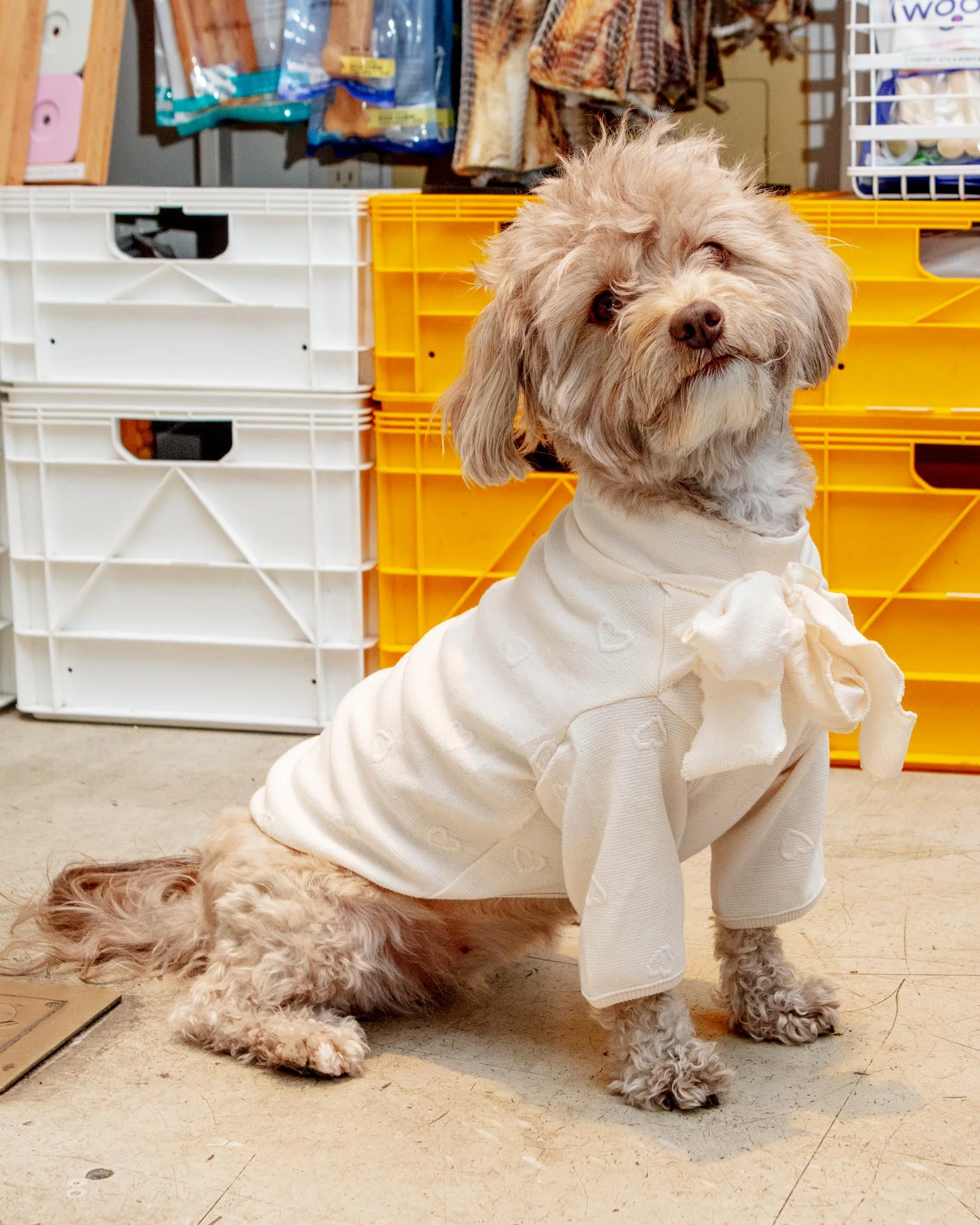 Beatrice Lady Bow Long-Sleeve Dog Shirt (FINAL SALE)