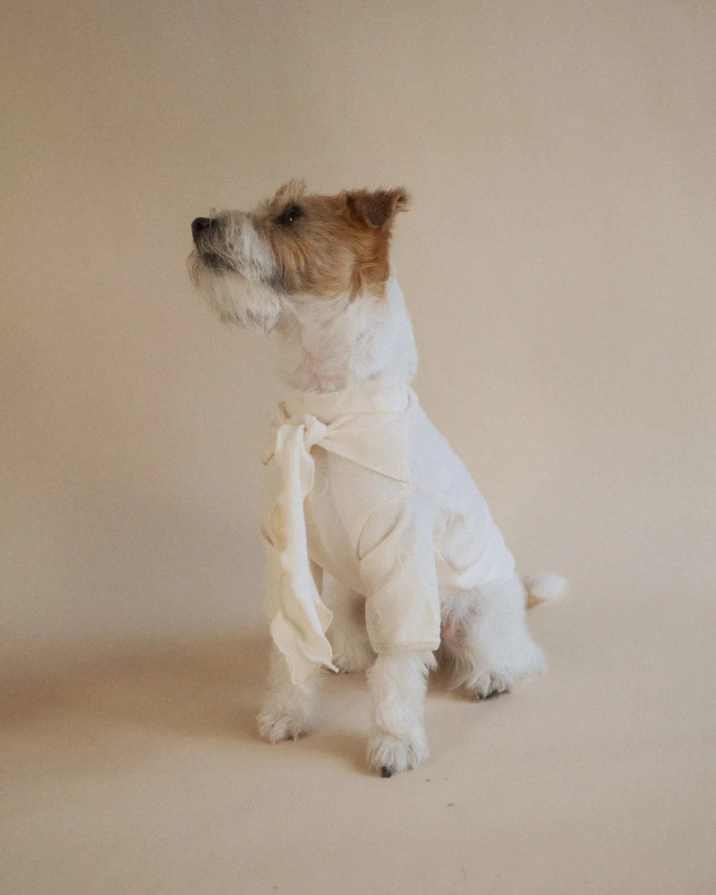 Beatrice Lady Bow Long-Sleeve Dog Shirt (FINAL SALE) - Image 8