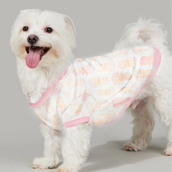 BEDHEAD | Lounge Dog T in Golden Pineapple - Image 2
