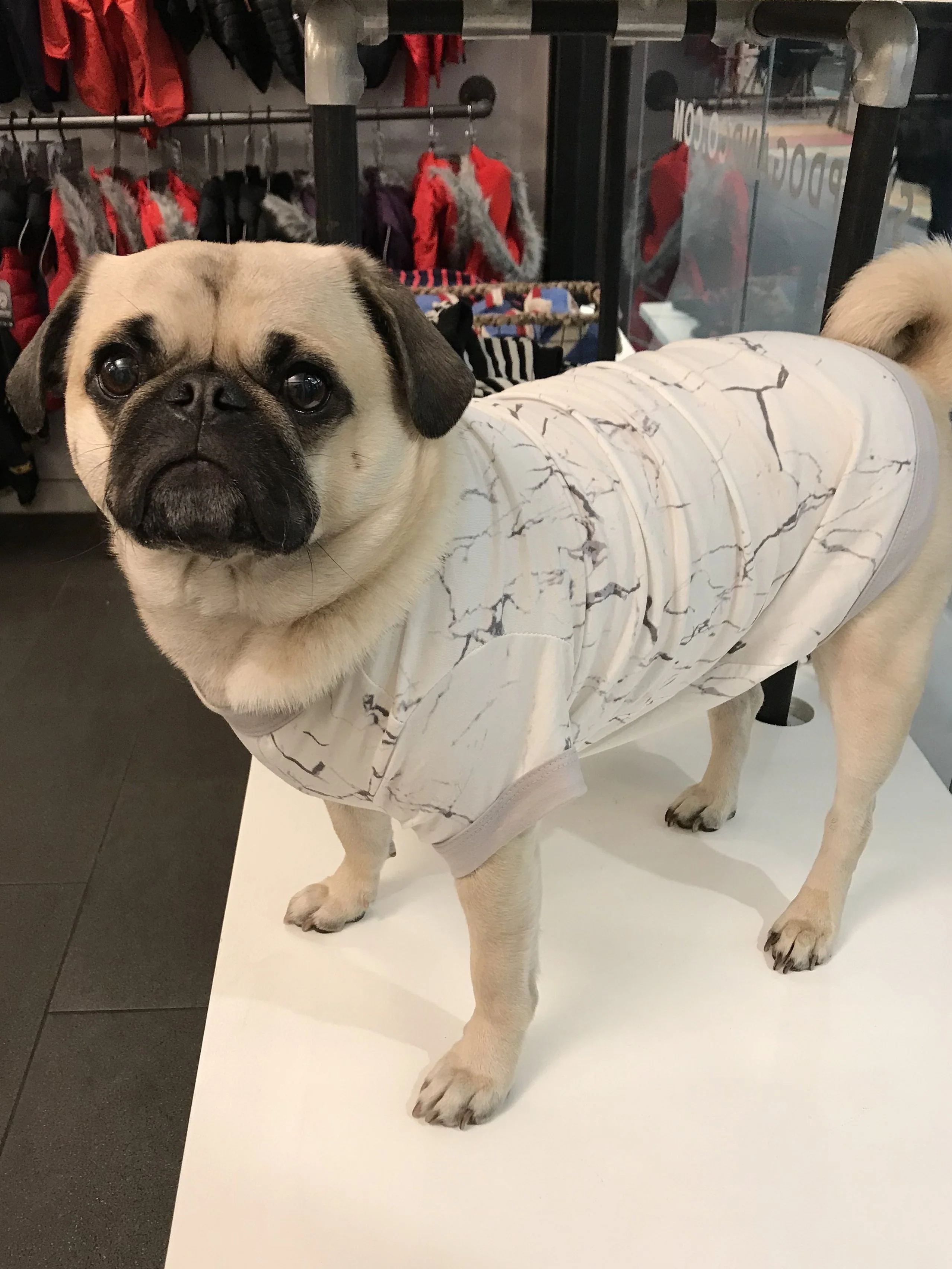 BEDHEAD | Lounge Dog T in Marble - Image 5