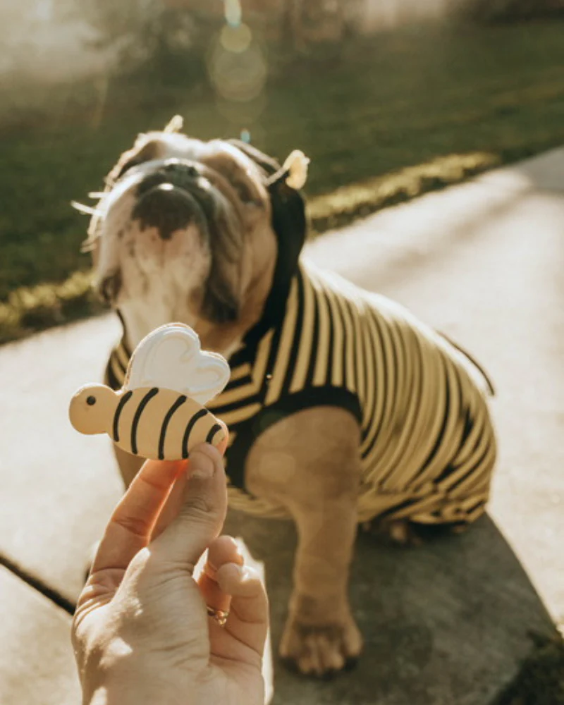 Bee-Licious Peanut Butter Dog Treats - Image 3