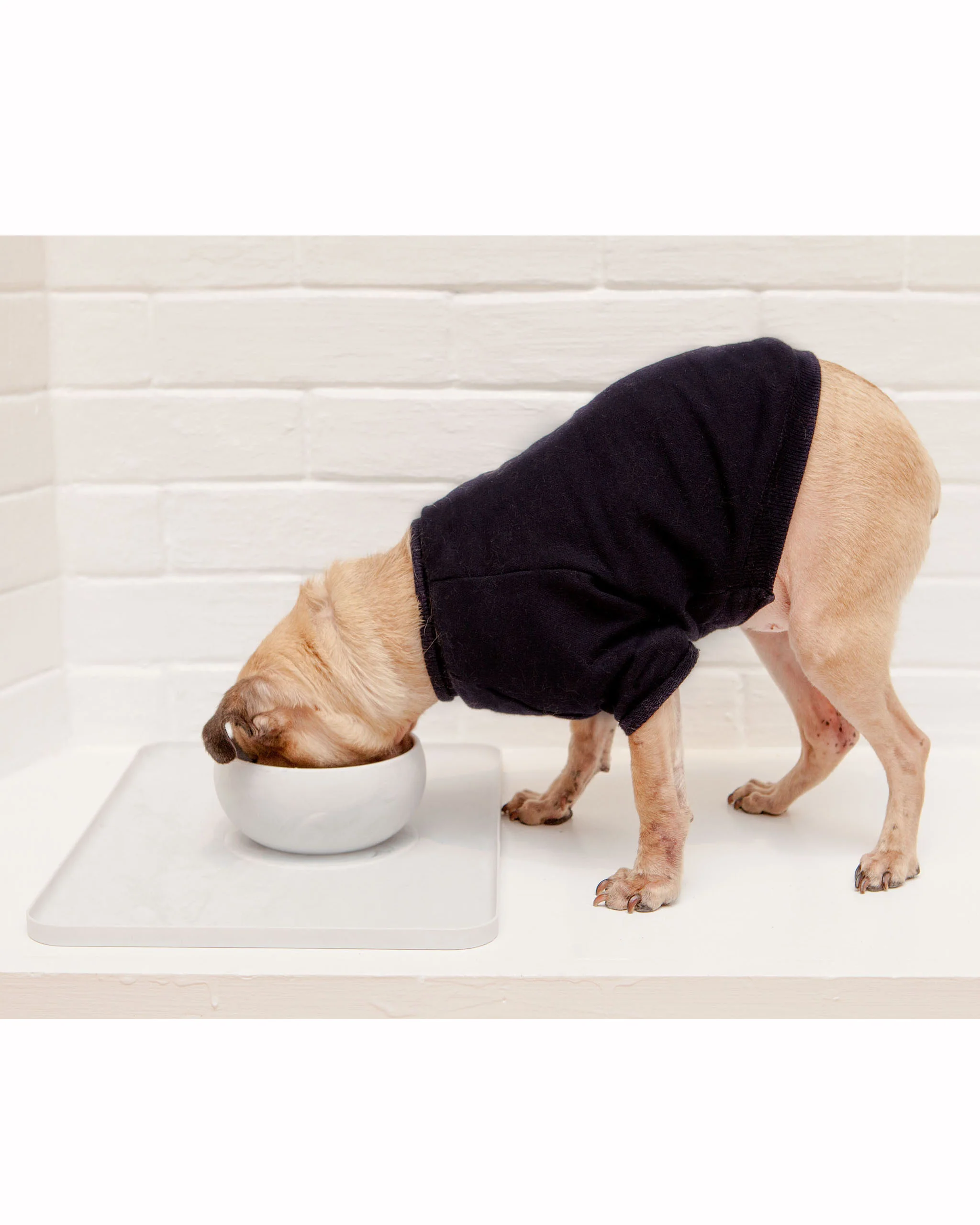 Wood Silicone Suction Dog Food & Water Bowl - Image 3