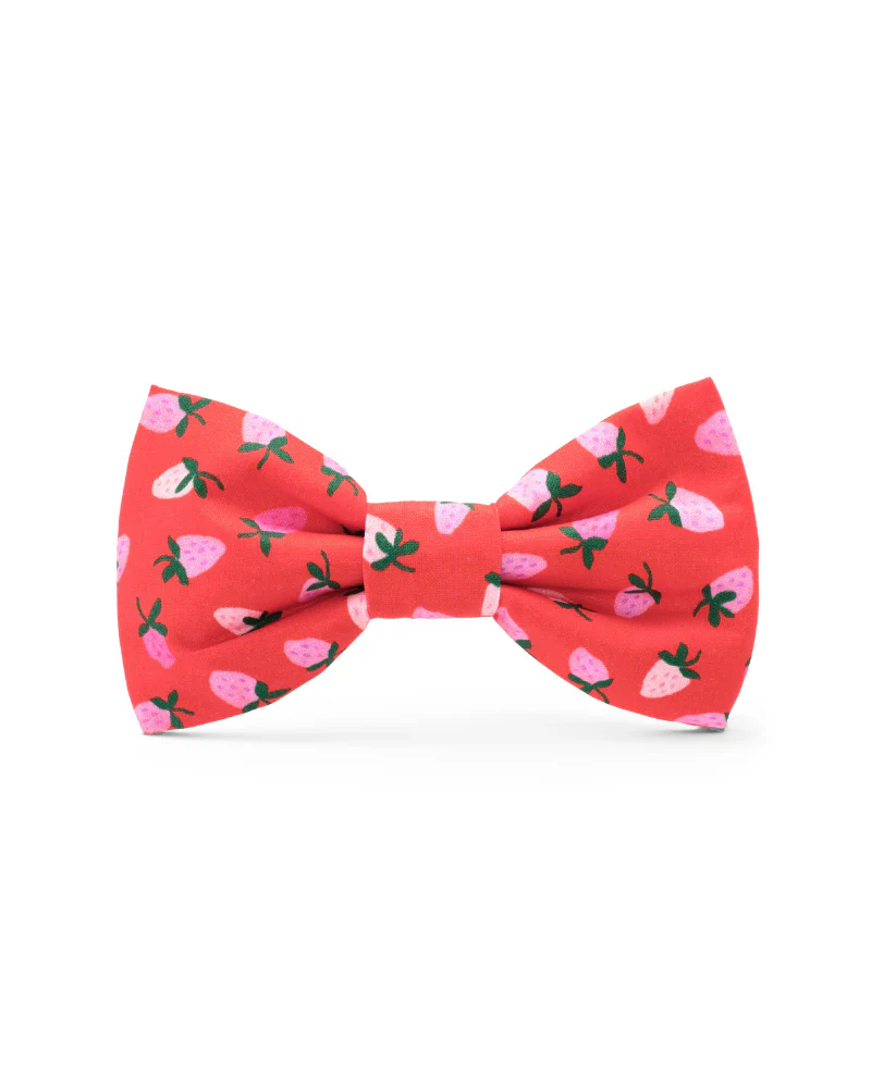 Berry Sweet Dog Bow Tie (Made in the USA) - Image 2