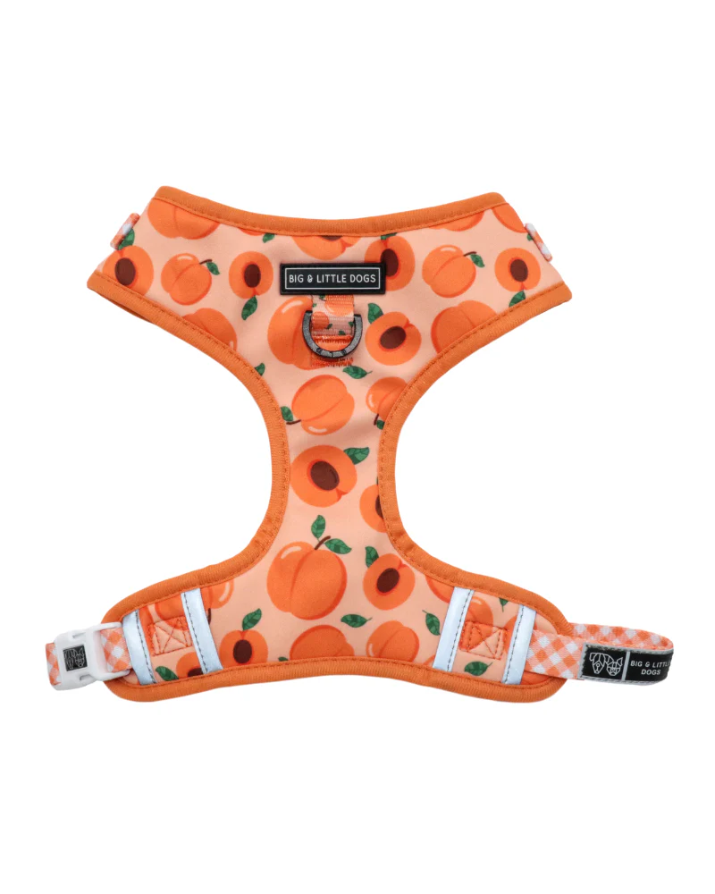 Adjustable Dog Harness in Just Peachy << FINAL SALE >> - Image 2