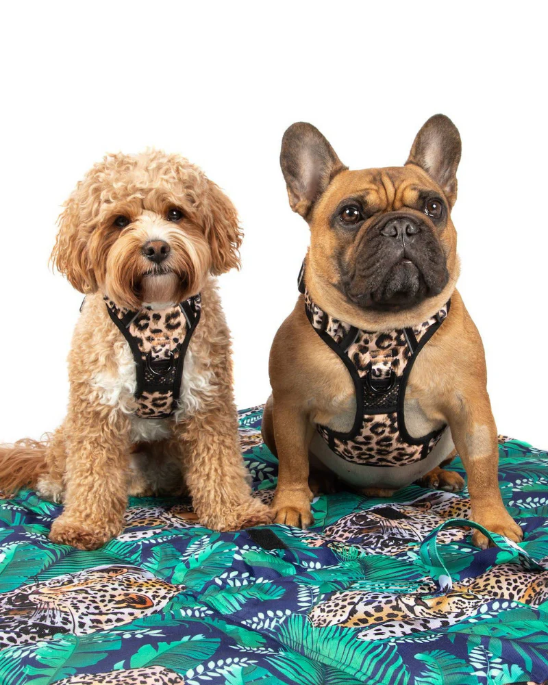 On-The-Go Pet Mat in Tropical Luxe Leopard << FINAL SALE >> - Image 11