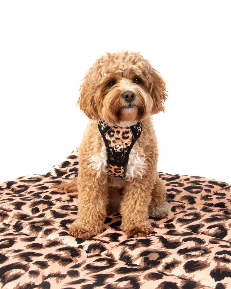 On-The-Go Pet Mat in Tropical Luxe Leopard << FINAL SALE >> - Image 8