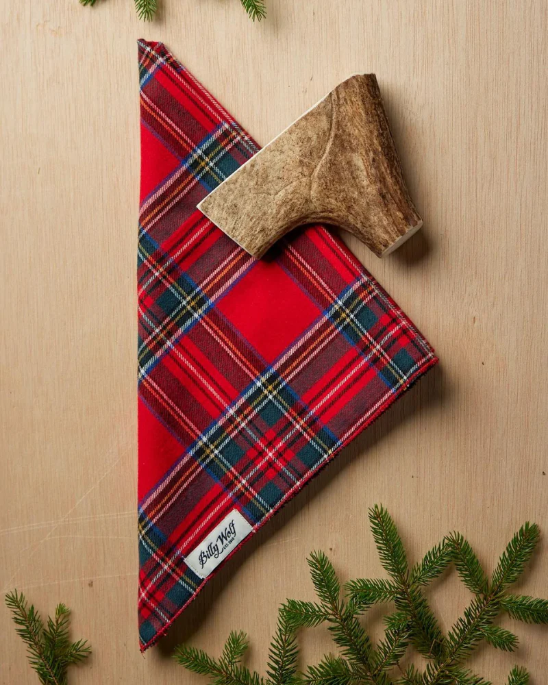 Nicolas Plaid Flannel Dog Bandana (Made in the USA) - Image 2
