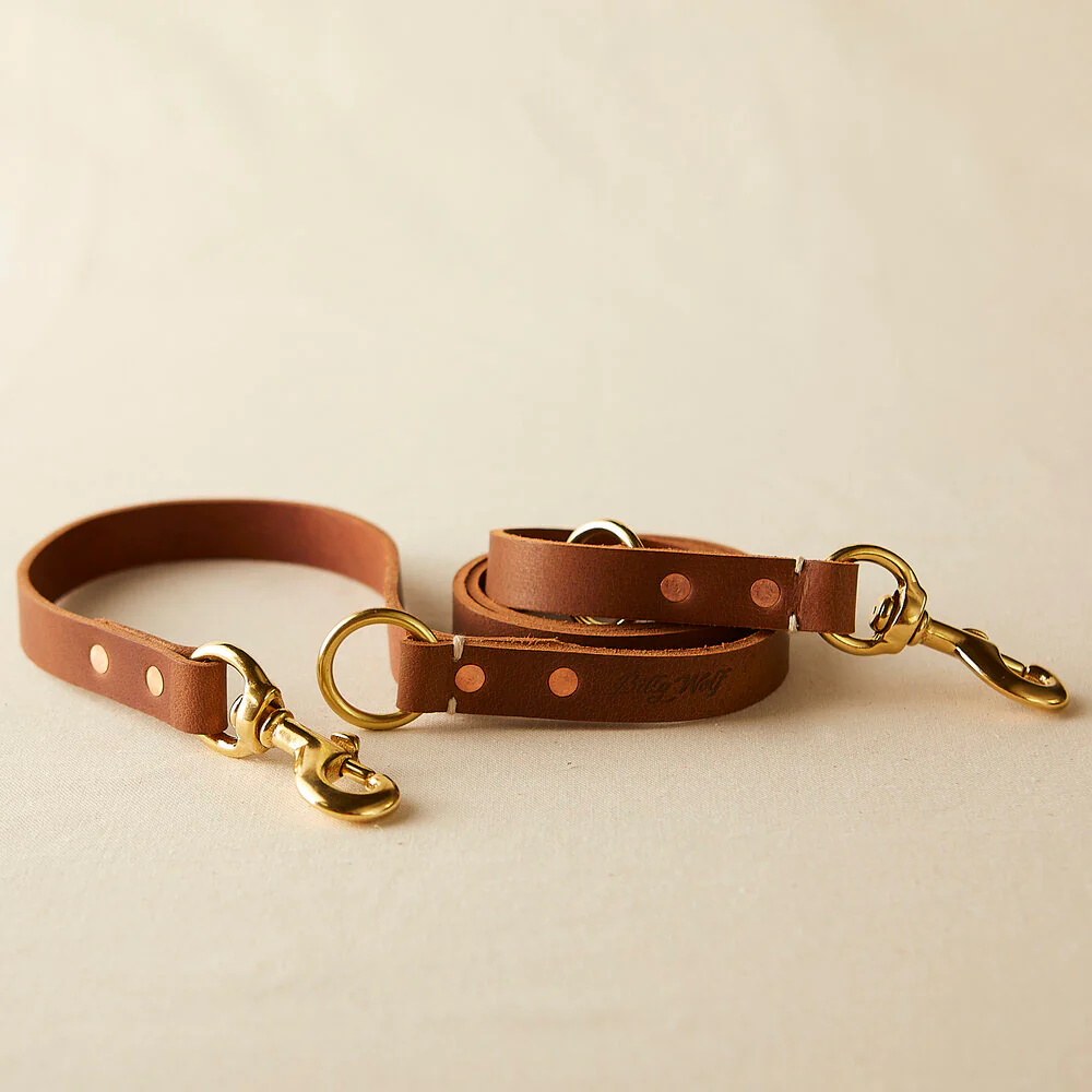 Rambler 3-in-1 Dog Leash in Terra - Image 5