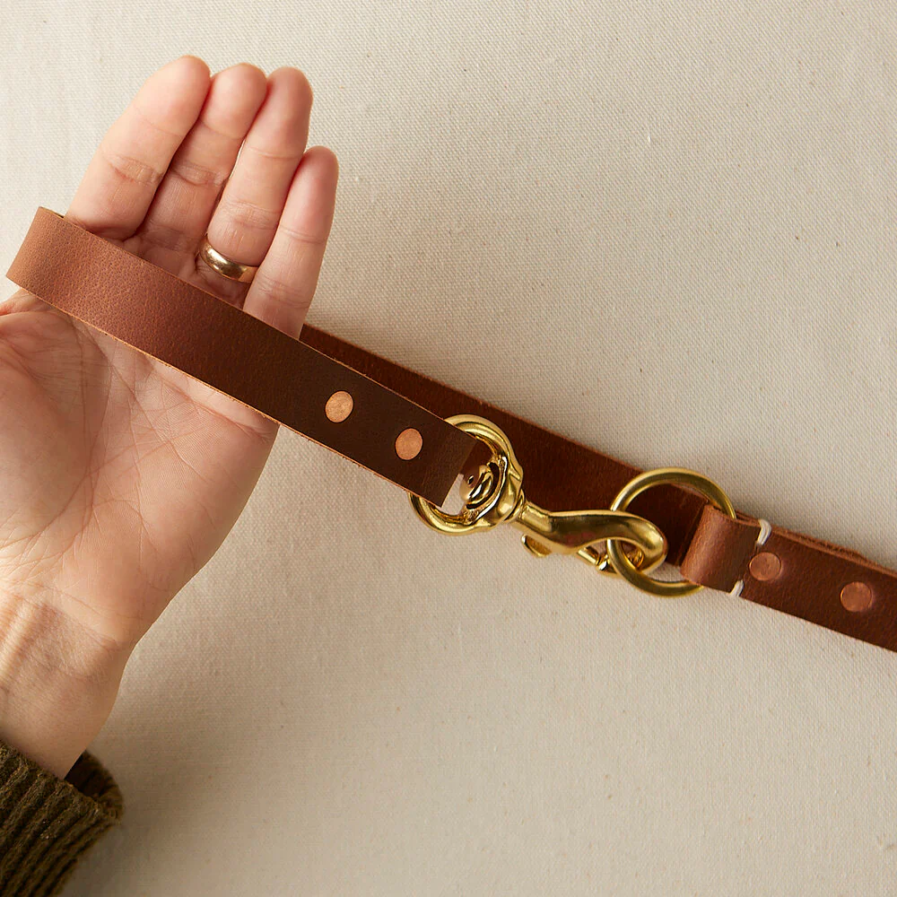 Rambler 3-in-1 Dog Leash in Terra - Image 6