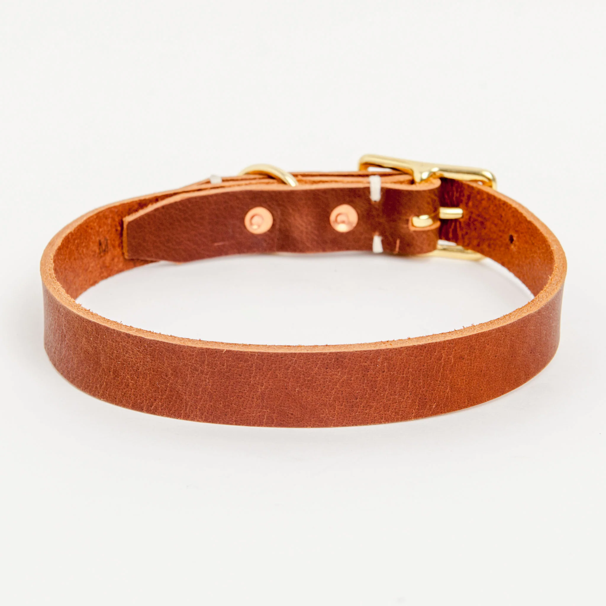 Rambler Leather Dog Collar in Terra - Image 2