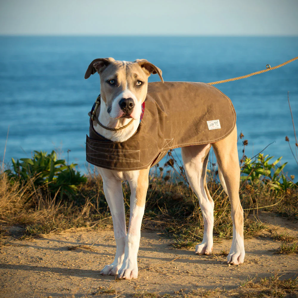 BILLY WOLF | Rupert Waterproof Reversible Coat - Image 3