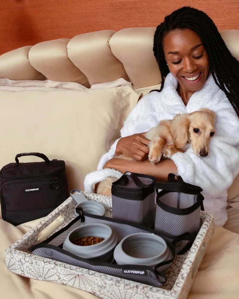 Bistro Box Dog Food Travel Kit - Image 10