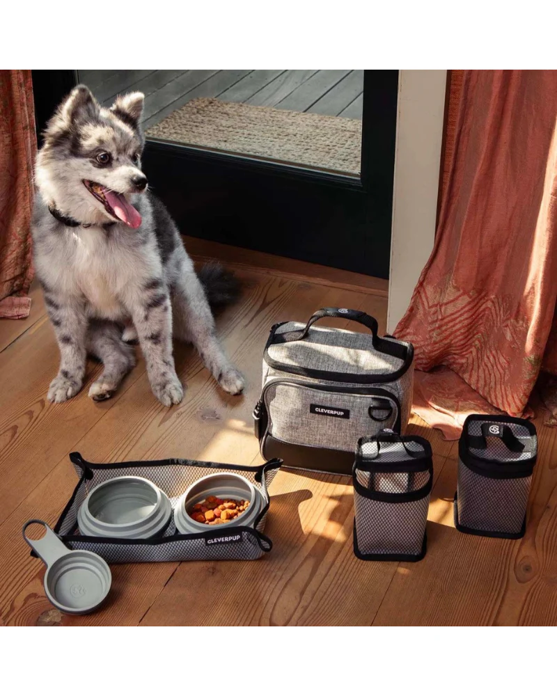 Bistro Box Dog Food Travel Kit - Image 12
