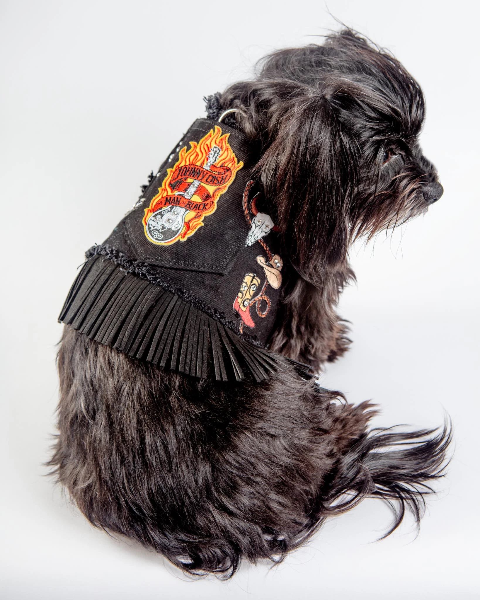 Black Denim Cowboy Dog Harness (Made in the USA) (FINAL SALE) - Image 2