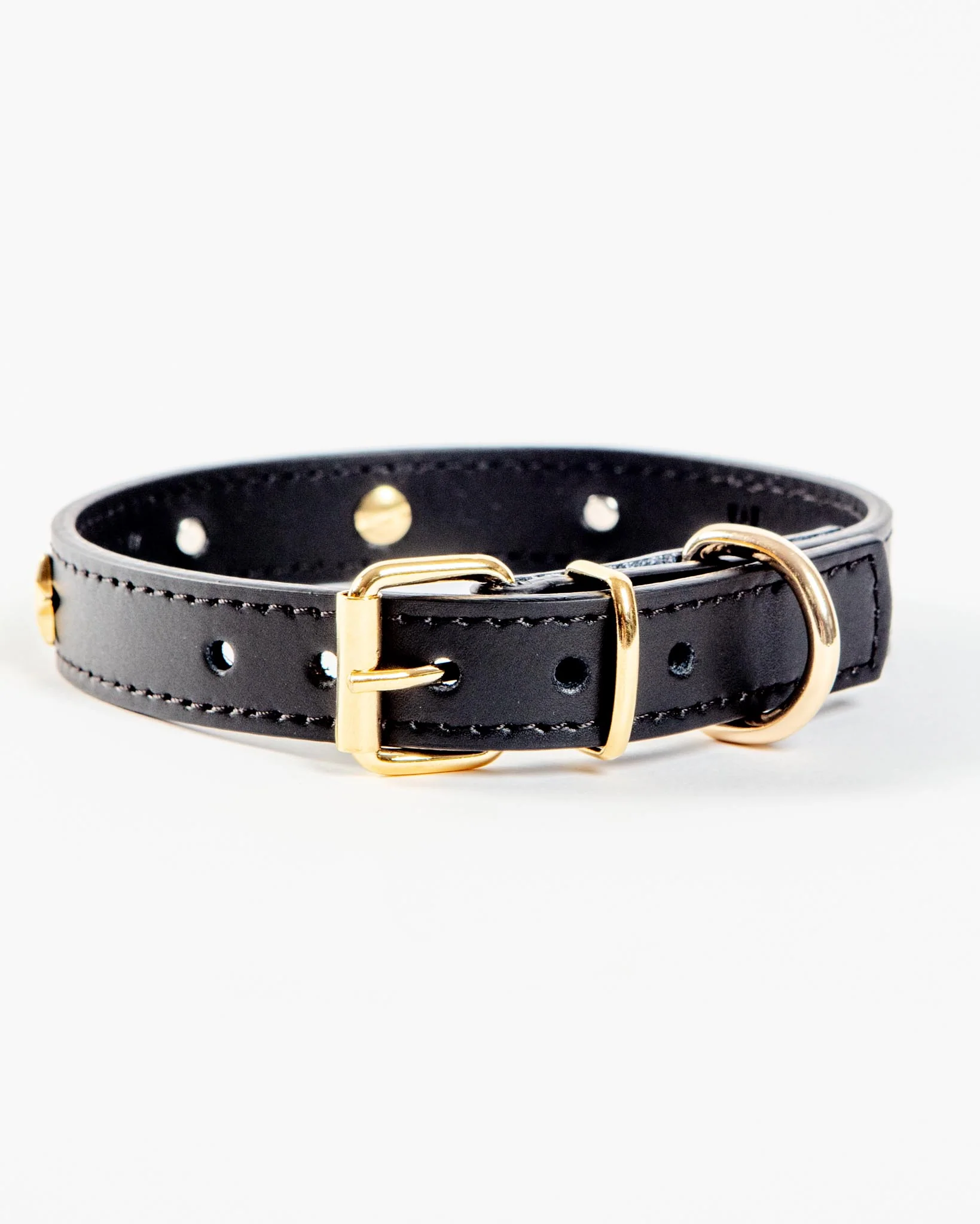 Black Nara Leather Dog Collar with Brass Stars (Made in Italy) (FINAL SALE) - Image 4