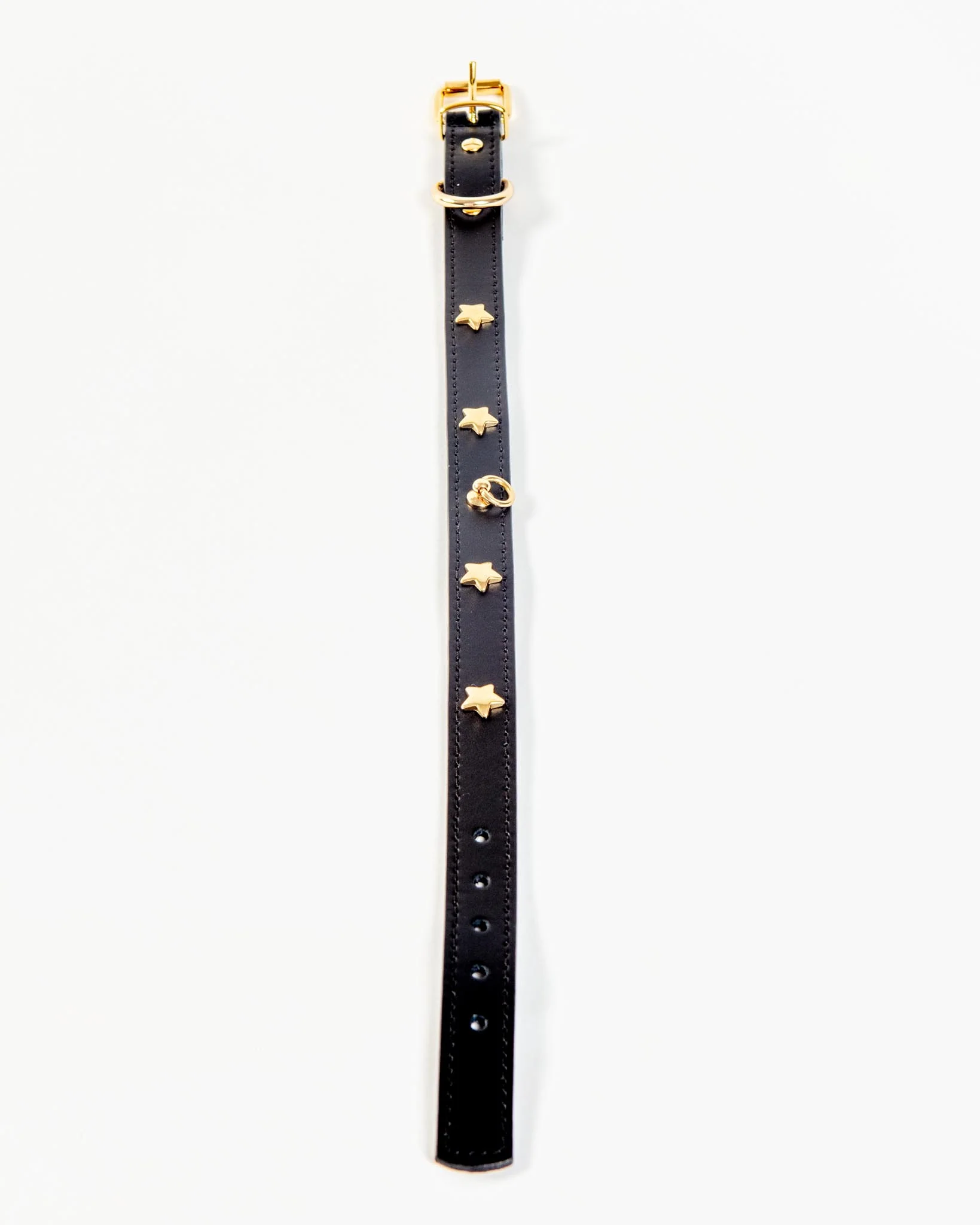 Black Nara Leather Dog Collar with Brass Stars (Made in Italy) (FINAL SALE) - Image 5