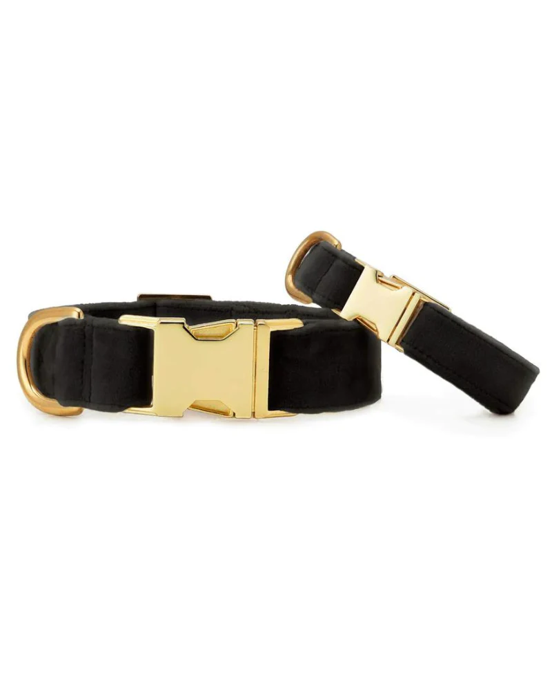 Black Velvet Dog Collar (Made in the USA) (FINAL SALE) - Image 2