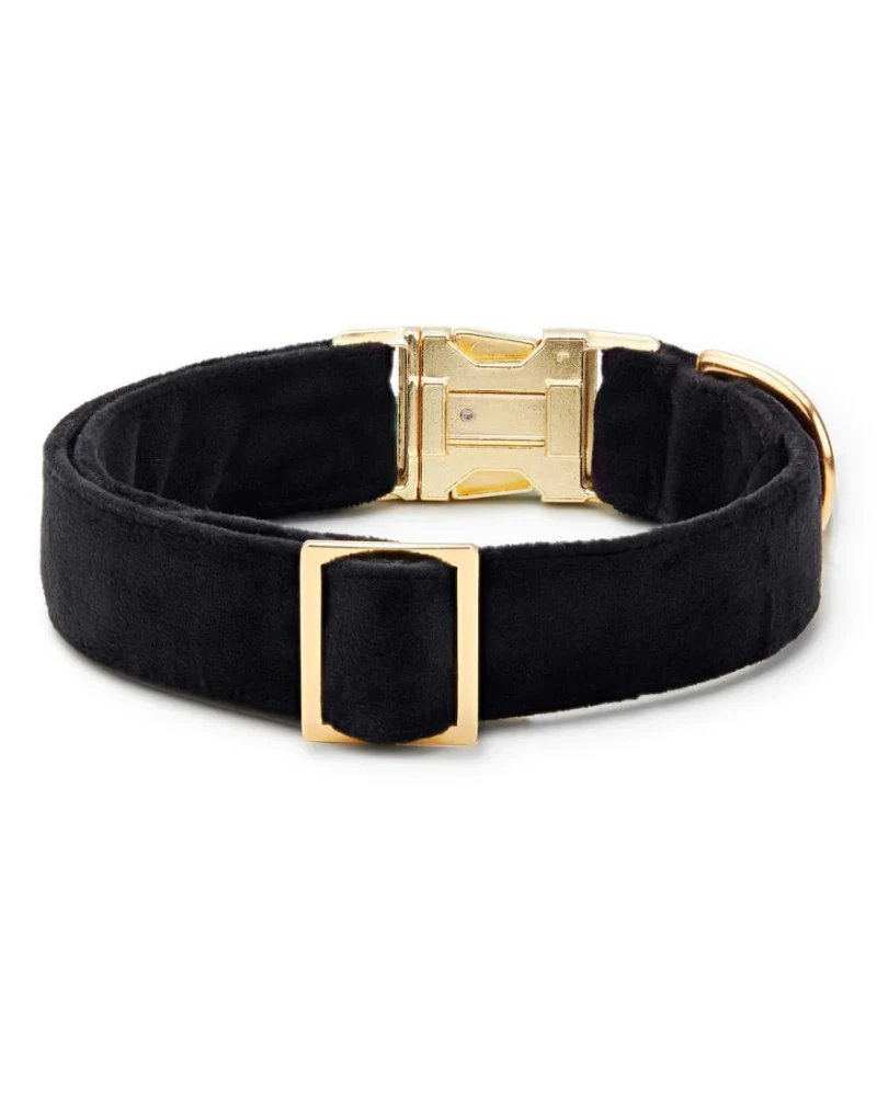 Black Velvet Dog Collar (Made in the USA) (FINAL SALE) - Image 3