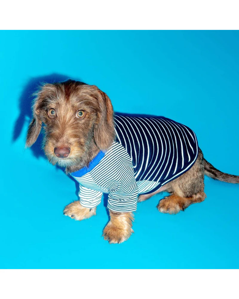 Black & White Crazy Striped Dog T-Shirt (Made in the USA)
