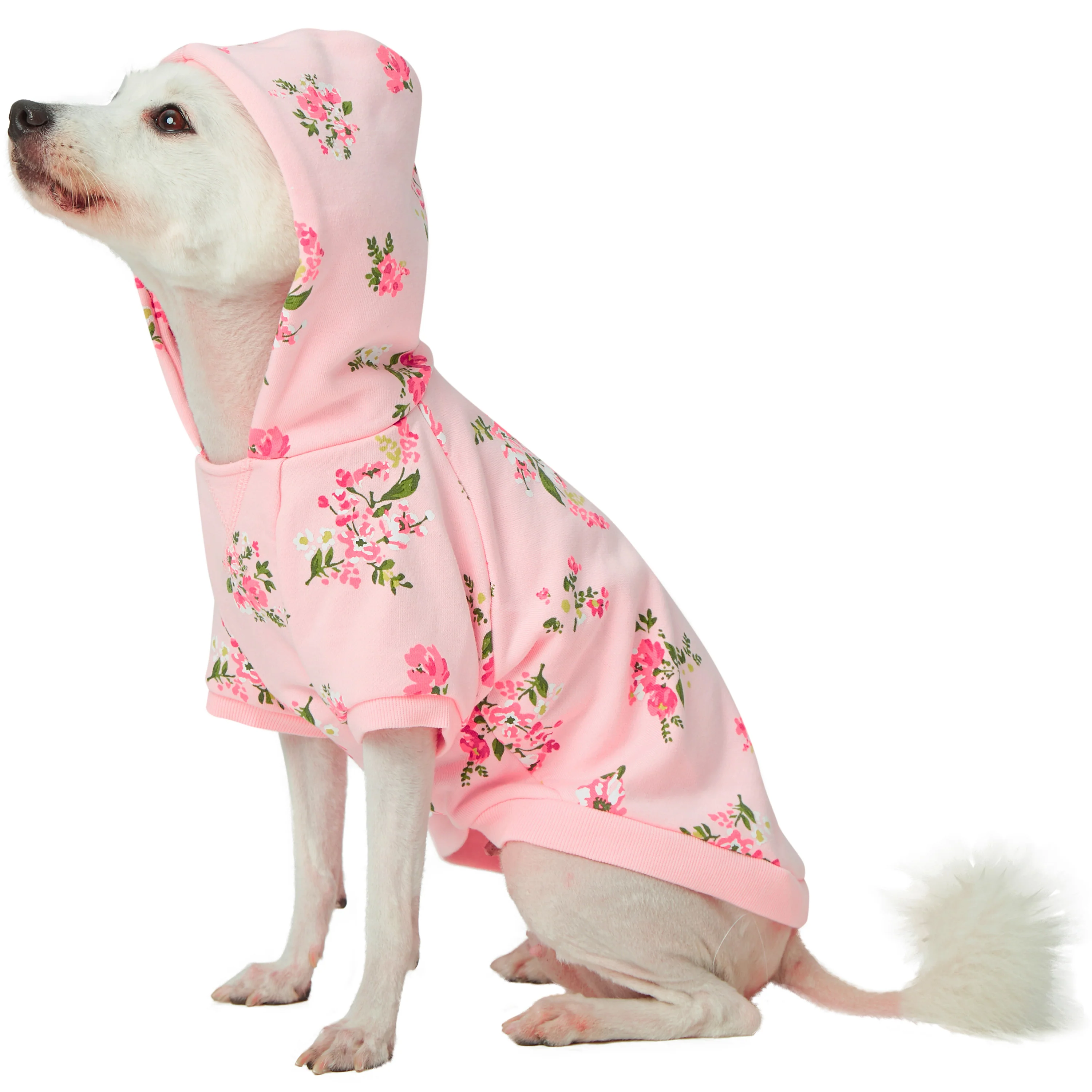DOGS & CATS & CO. | Floral Sweatshirt in Pink - Image 5