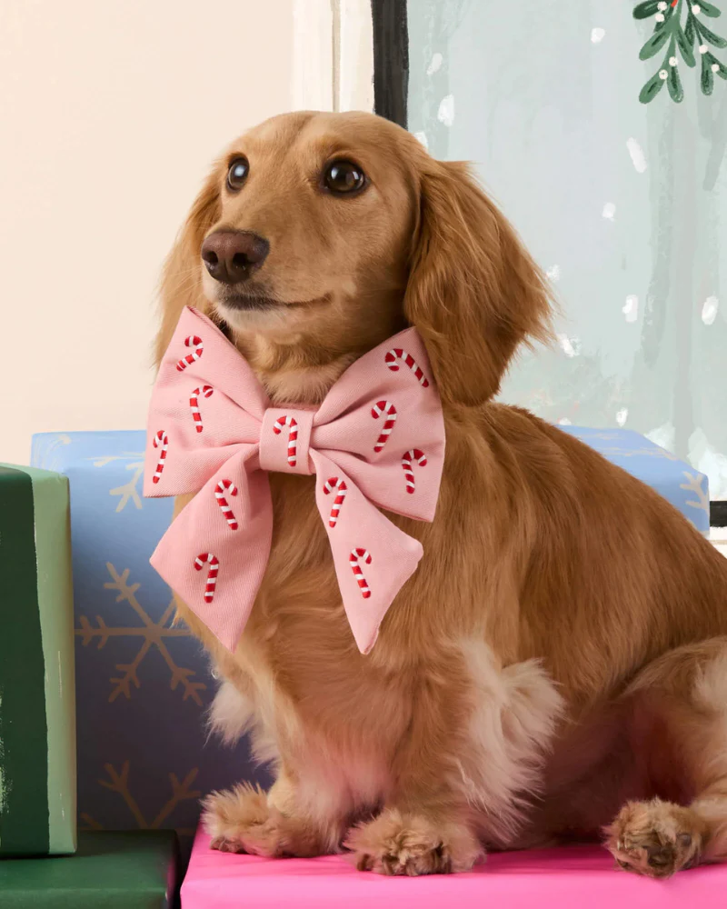 Blush Pink Embroidered Candy Canes Lady Dog Bow (Made in the USA) - Image 2