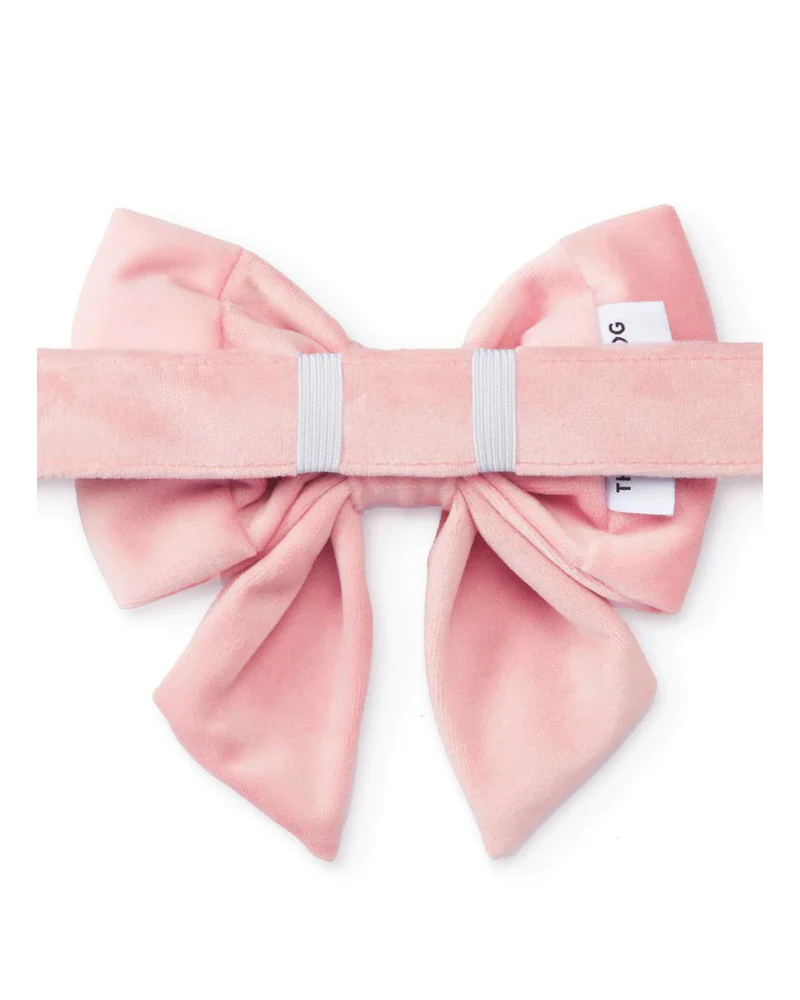 Blush Pink Velvet Dog Lady Bow (Made in the USA) - Image 5