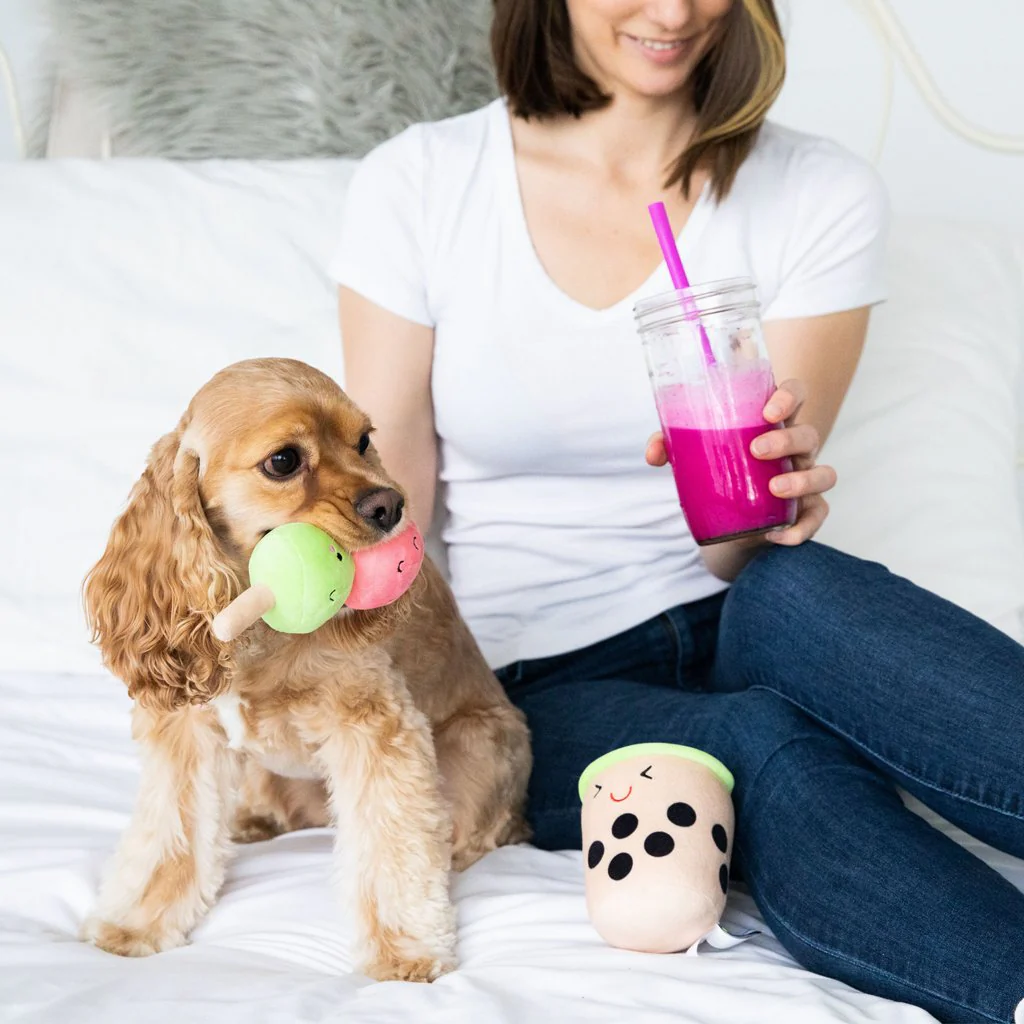 Boba Tea 2-Piece Dog Toy Set - Image 2