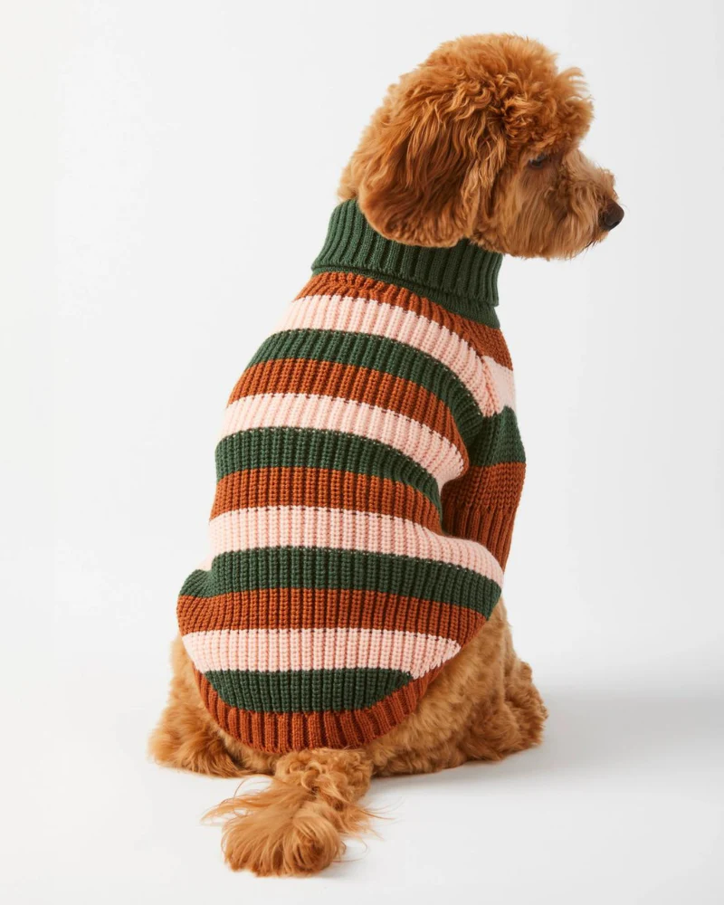 Bold Stripe Dog Sweater (FINAL SALE) - Image 5