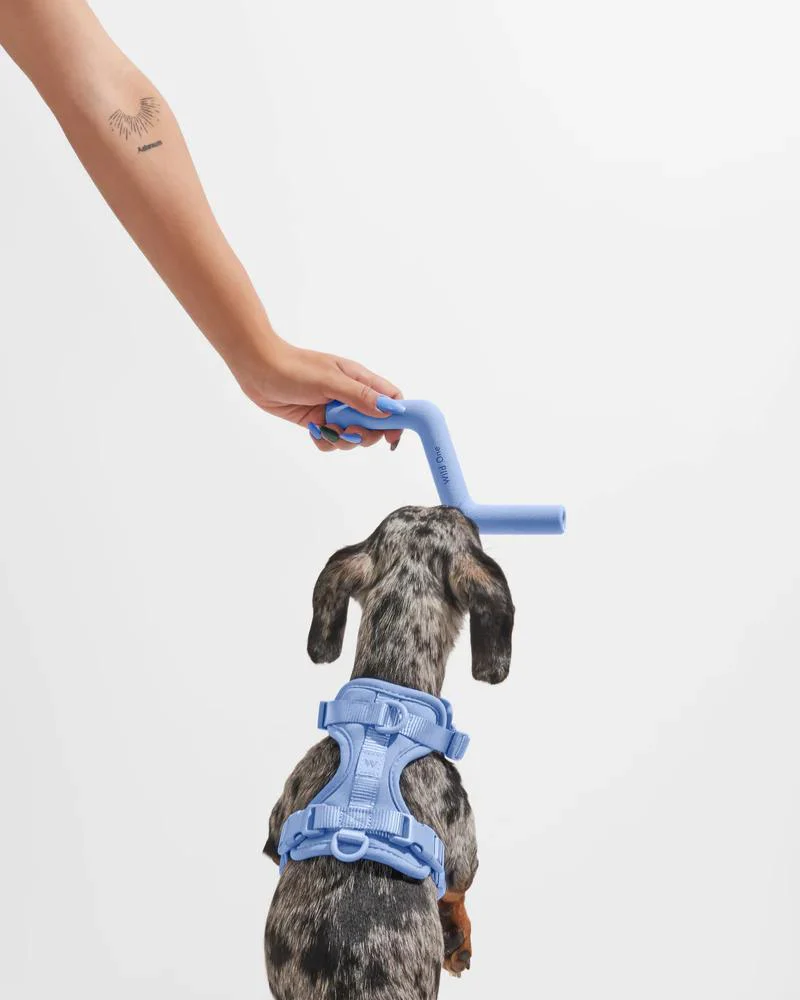 Bolt Bite Dog Toy in Moonstone - Image 2