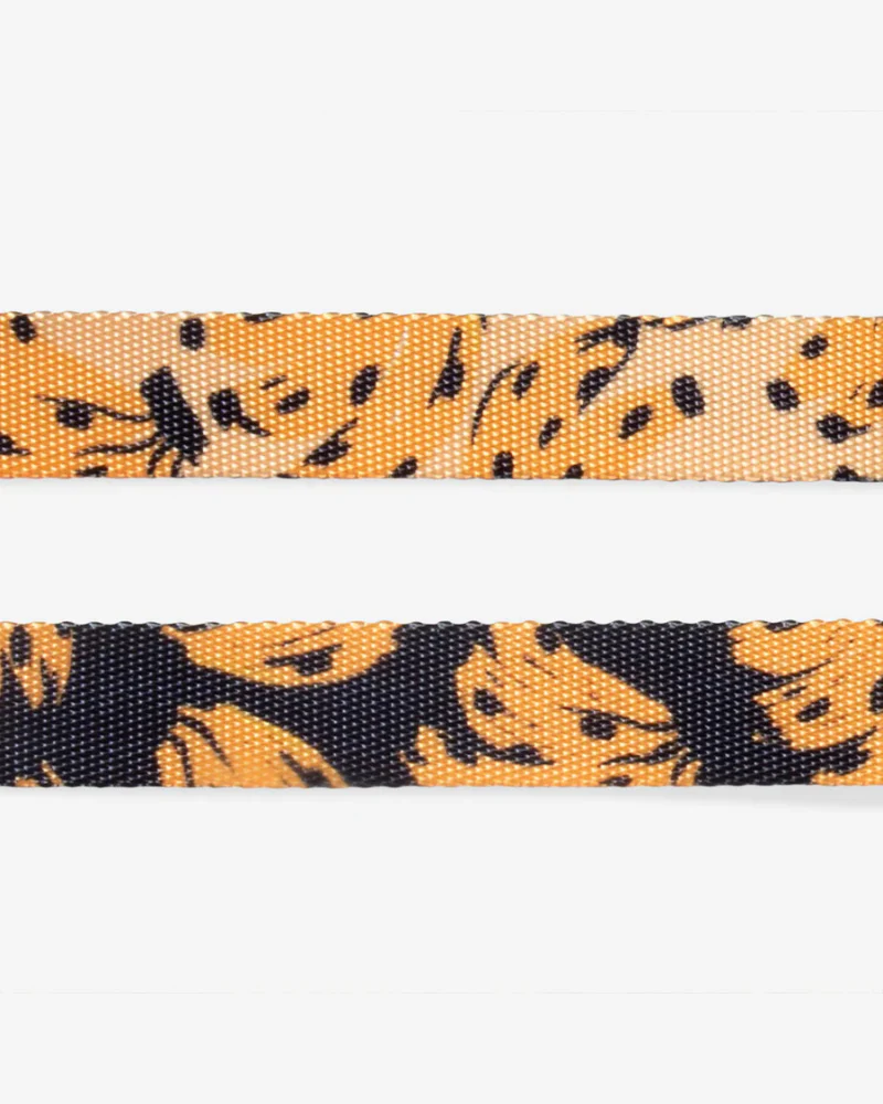 Bossa Banana Cat Harness w/ Leash - Image 3