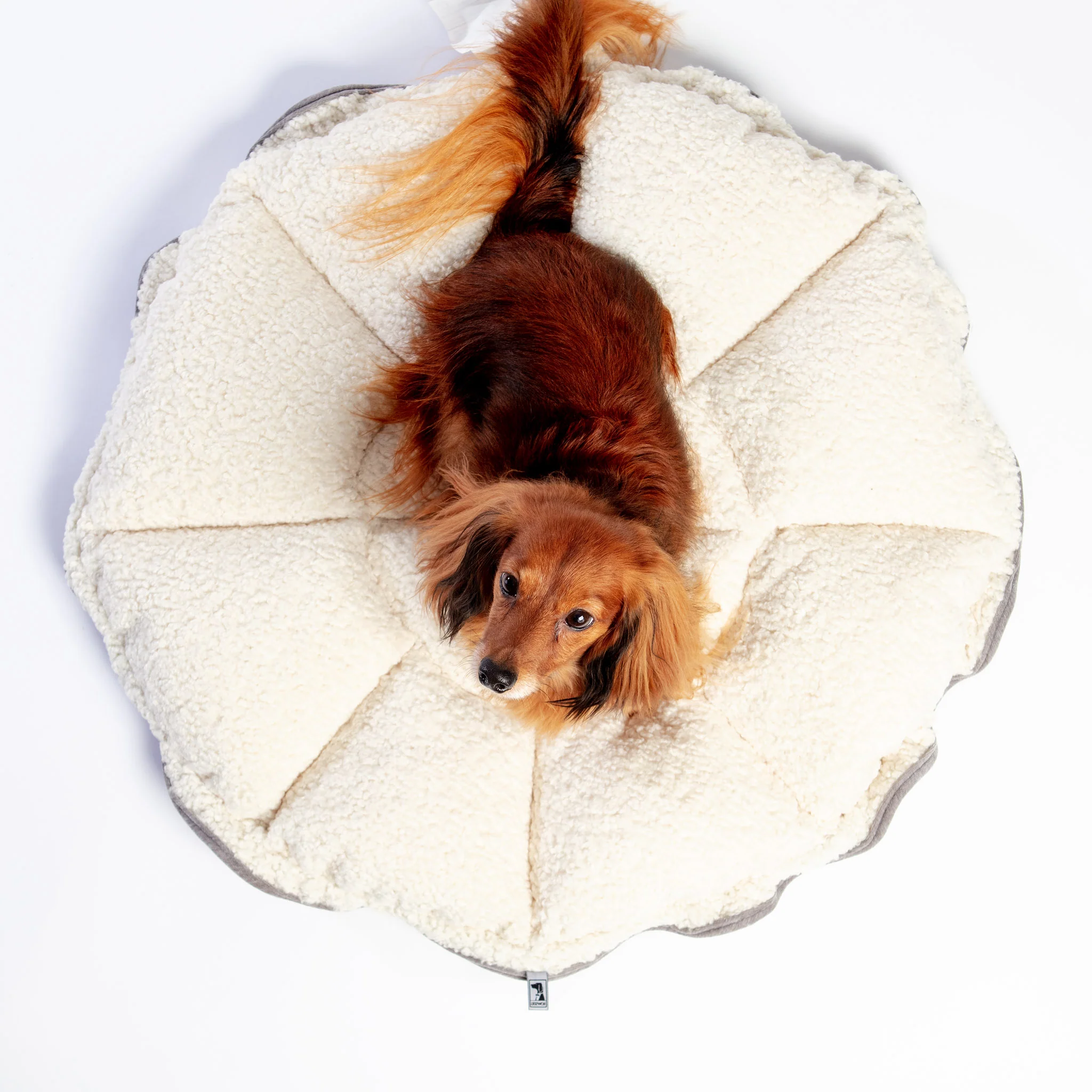 Buttercup Bed (Direct-Ship) - Image 4