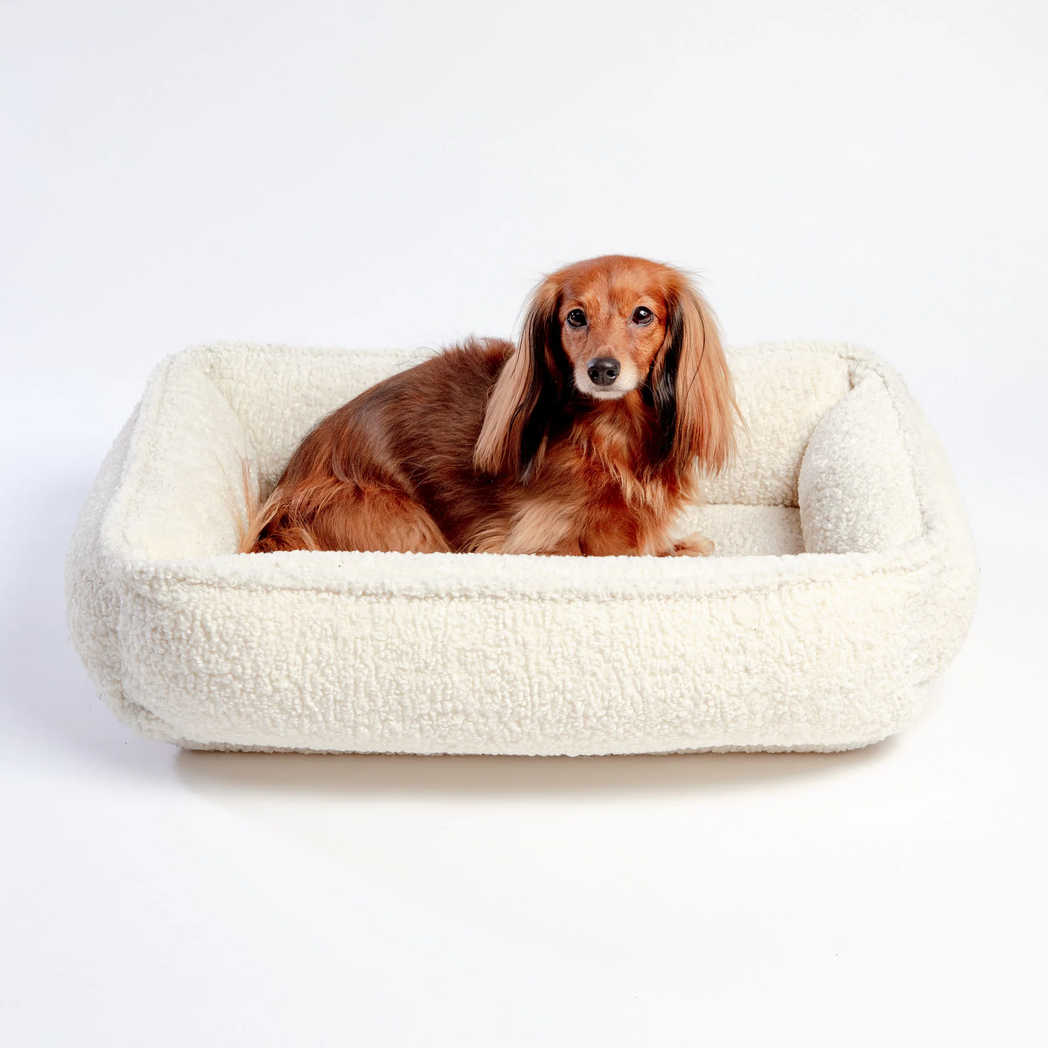Urban Lounger Dog Bed in Ivory Sheepskin (In-Store) - Image 3