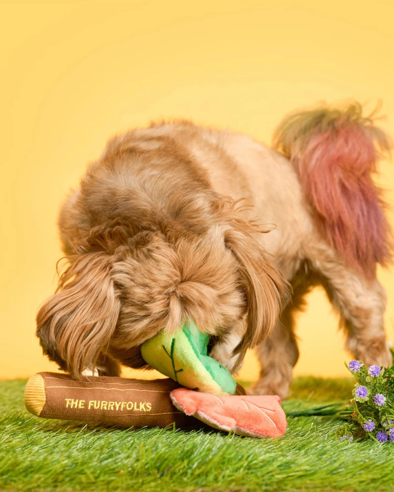 Branch Manager Nosework Plush Dog Toy - Image 4