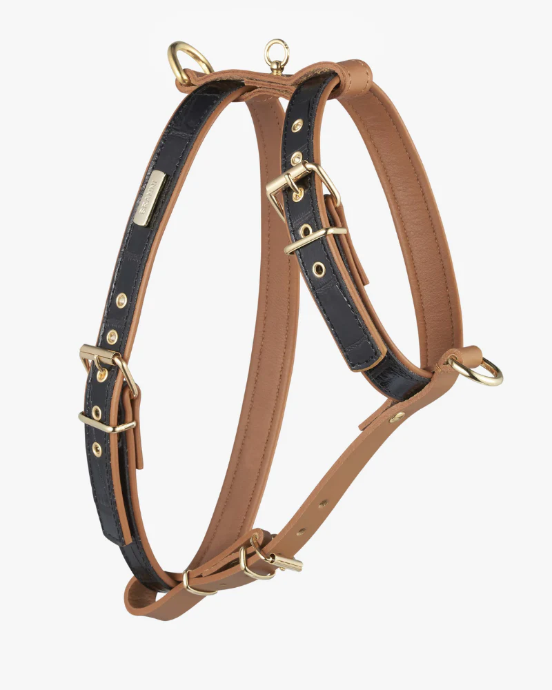 Lia Leather Dog Harness in Black Croco (Made in Italy) (FINAL SALE) - Image 4