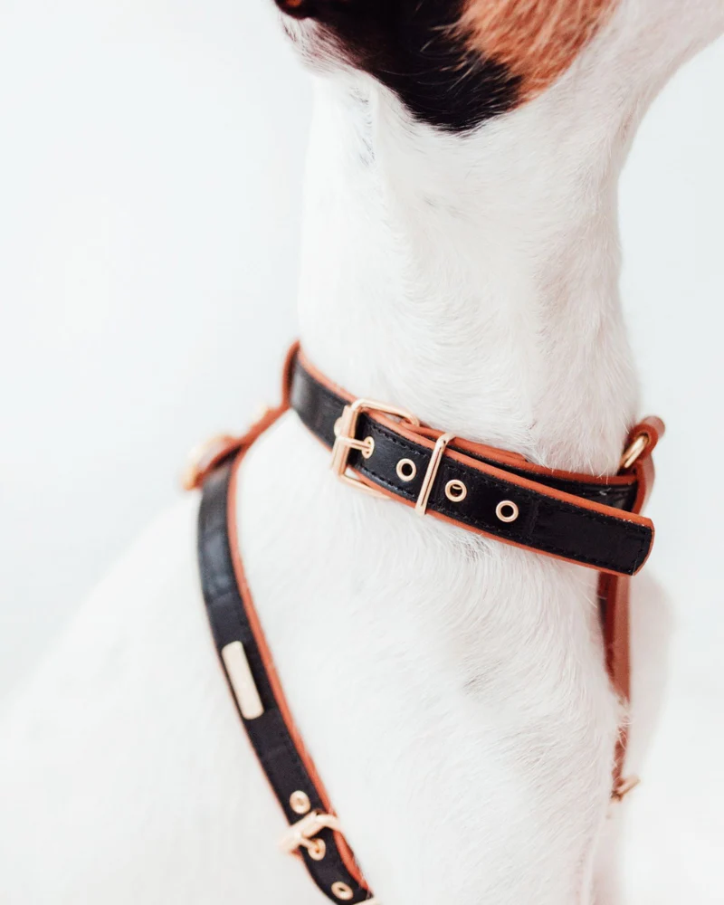 Lia Leather Dog Harness in Black Croco (Made in Italy) (FINAL SALE) - Image 8