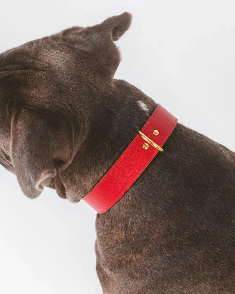Moni Dog Collar in Red Leather (Made in Italy) (FINAL SALE) - Image 4