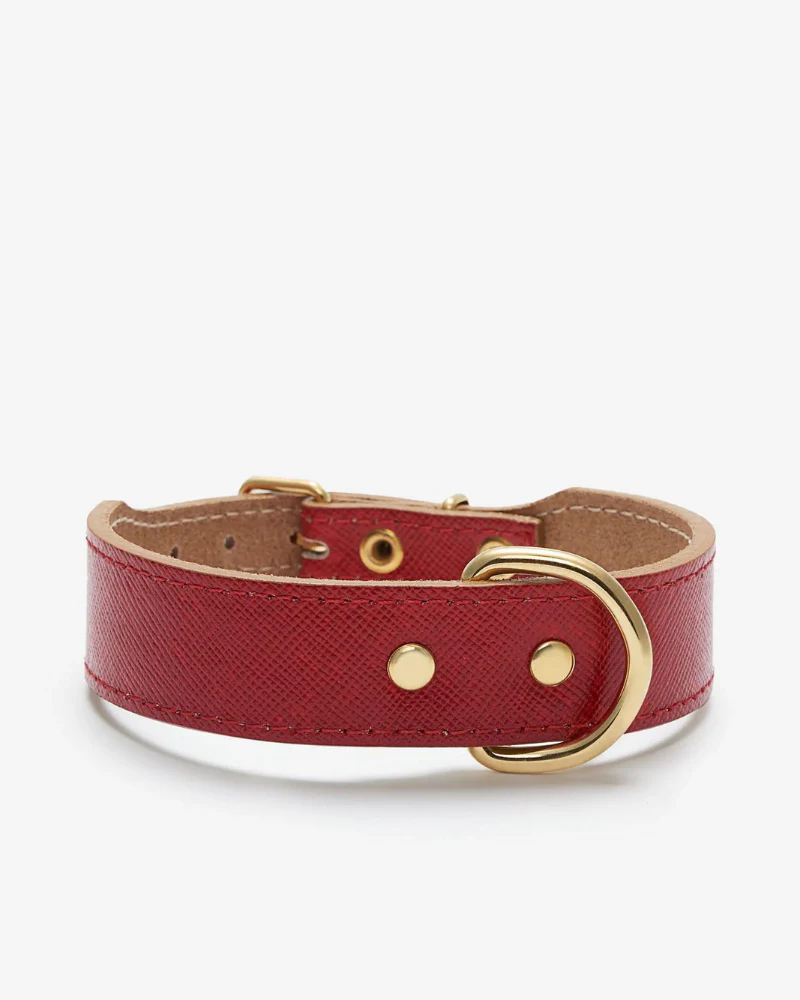 Moni Dog Collar in Red Leather (Made in Italy) (FINAL SALE) - Image 5