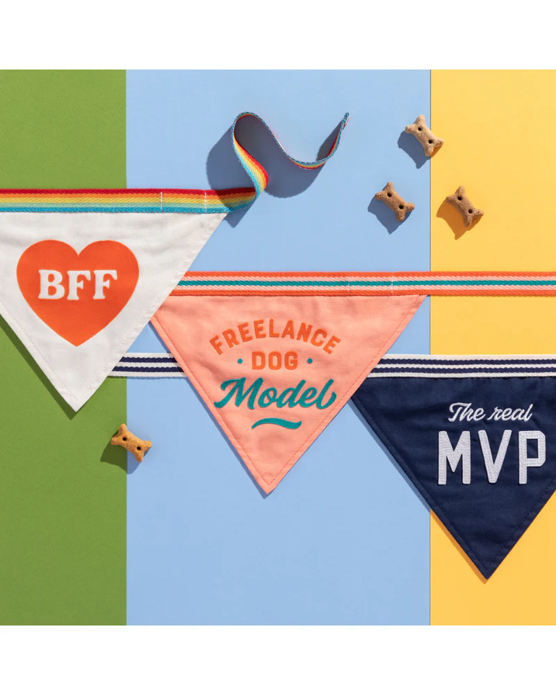 BFF Dog Bandana - Image 5