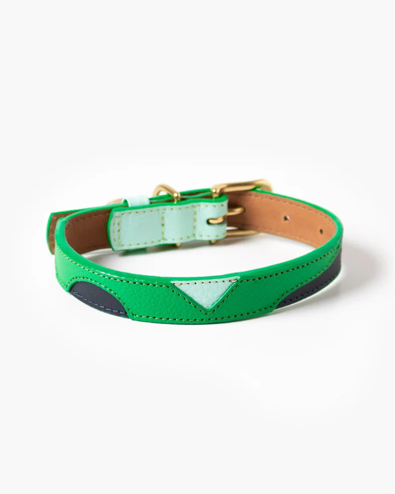 Brave Leather Dog Collar (Made in Guatemala) (FINAL SALE) - Image 3