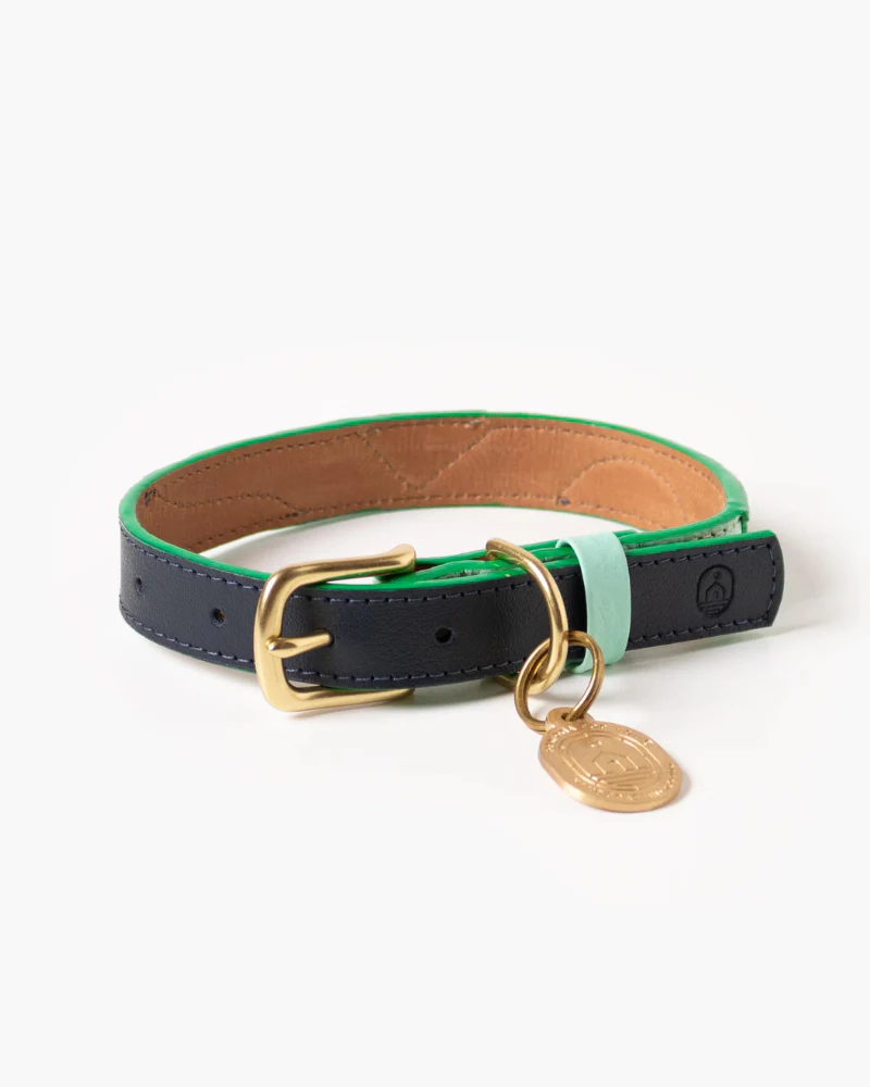 Brave Leather Dog Collar (Made in Guatemala) (FINAL SALE) - Image 4