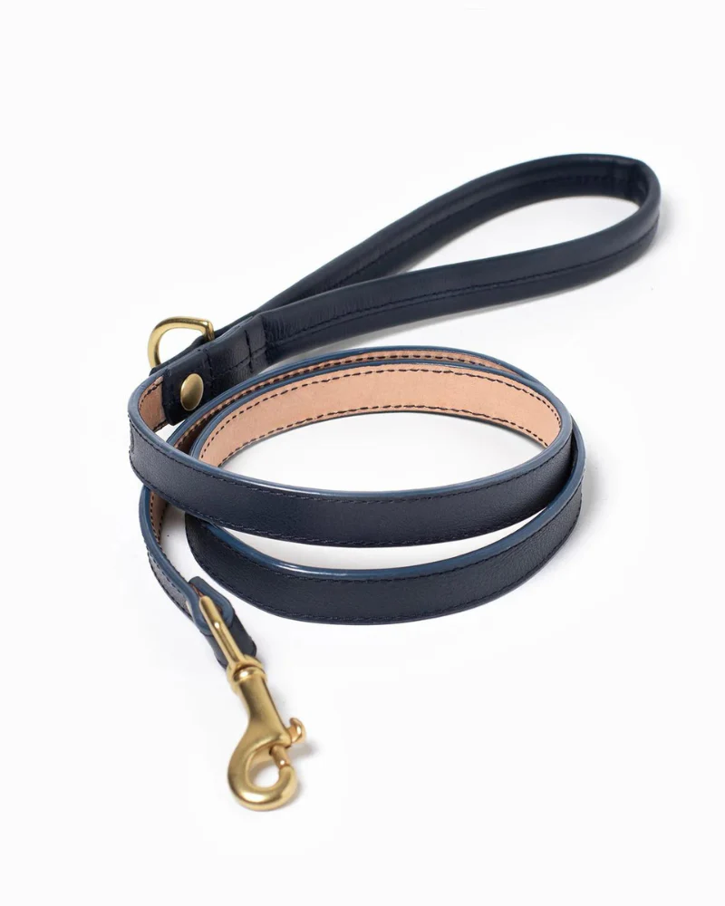 Brave Leather Dog Collar (Made in Guatemala) (FINAL SALE) - Image 7