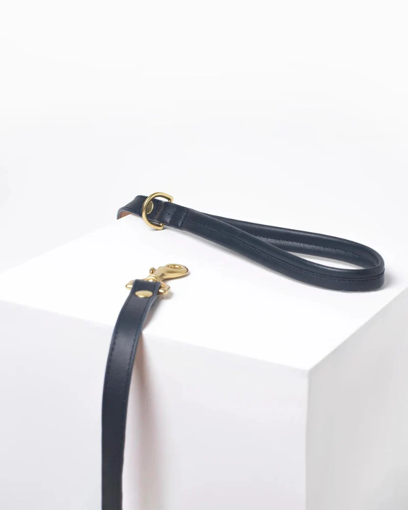 Brave Leather Dog Collar (Made in Guatemala) (FINAL SALE) - Image 8