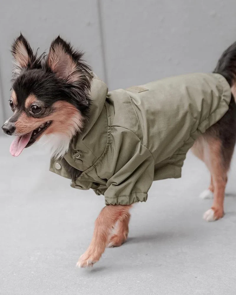 Brooklyn Nylon Water Resistant Dog Jacket (FINAL SALE) - Image 4