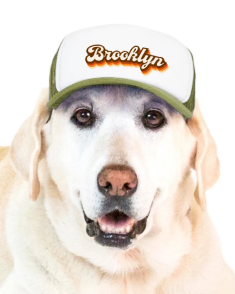 Brooklyn Pet Trucker Hat (DOG & CO. EXCLUSIVE) (FINAL SALE) - Image 5